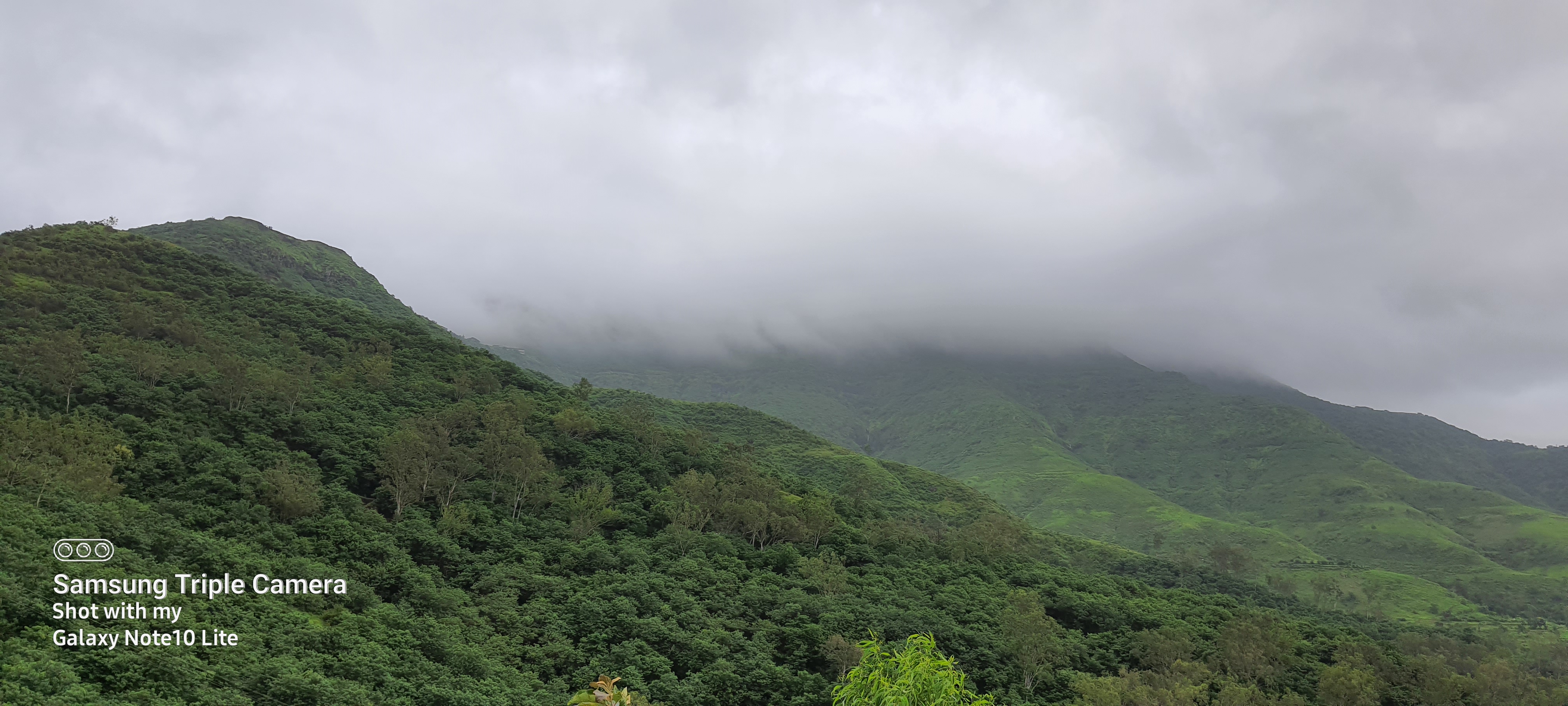 Fortview Luxe Retreat image 24